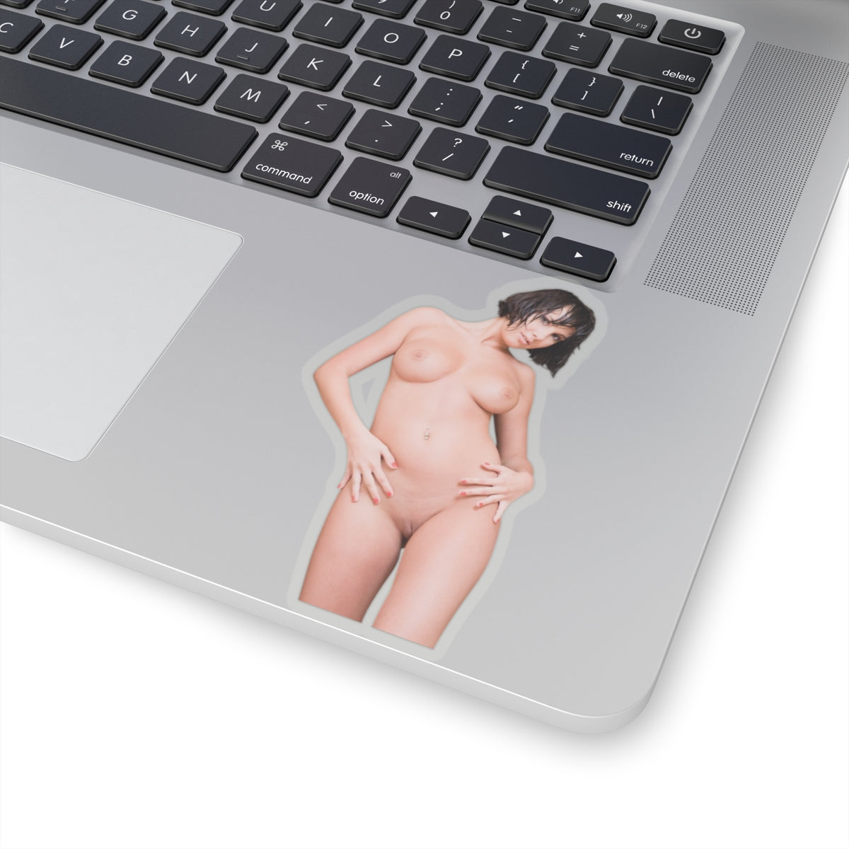 Sexy Girl Sticker Pinup Model Stickers