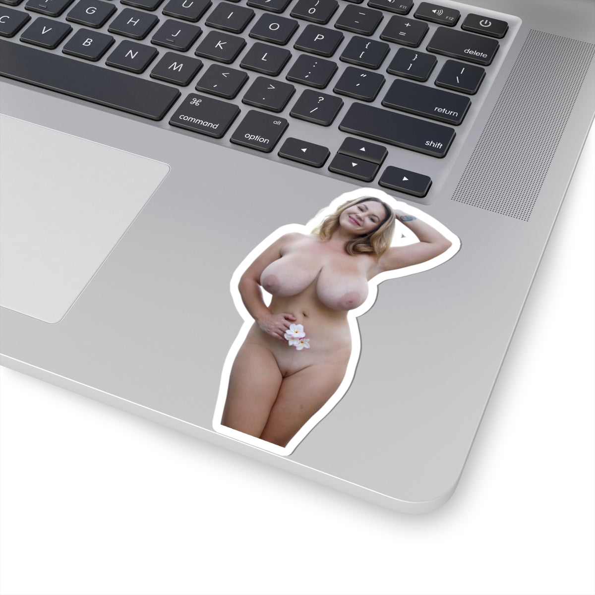 Big Tits Girl Sticker Pinup Model Stickers