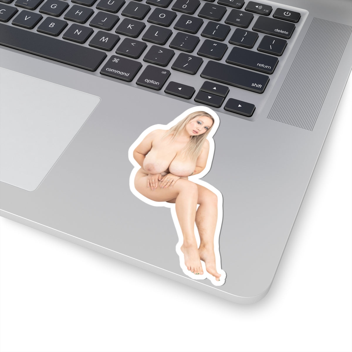 Erotic Sticker Big Tits Pinup Model