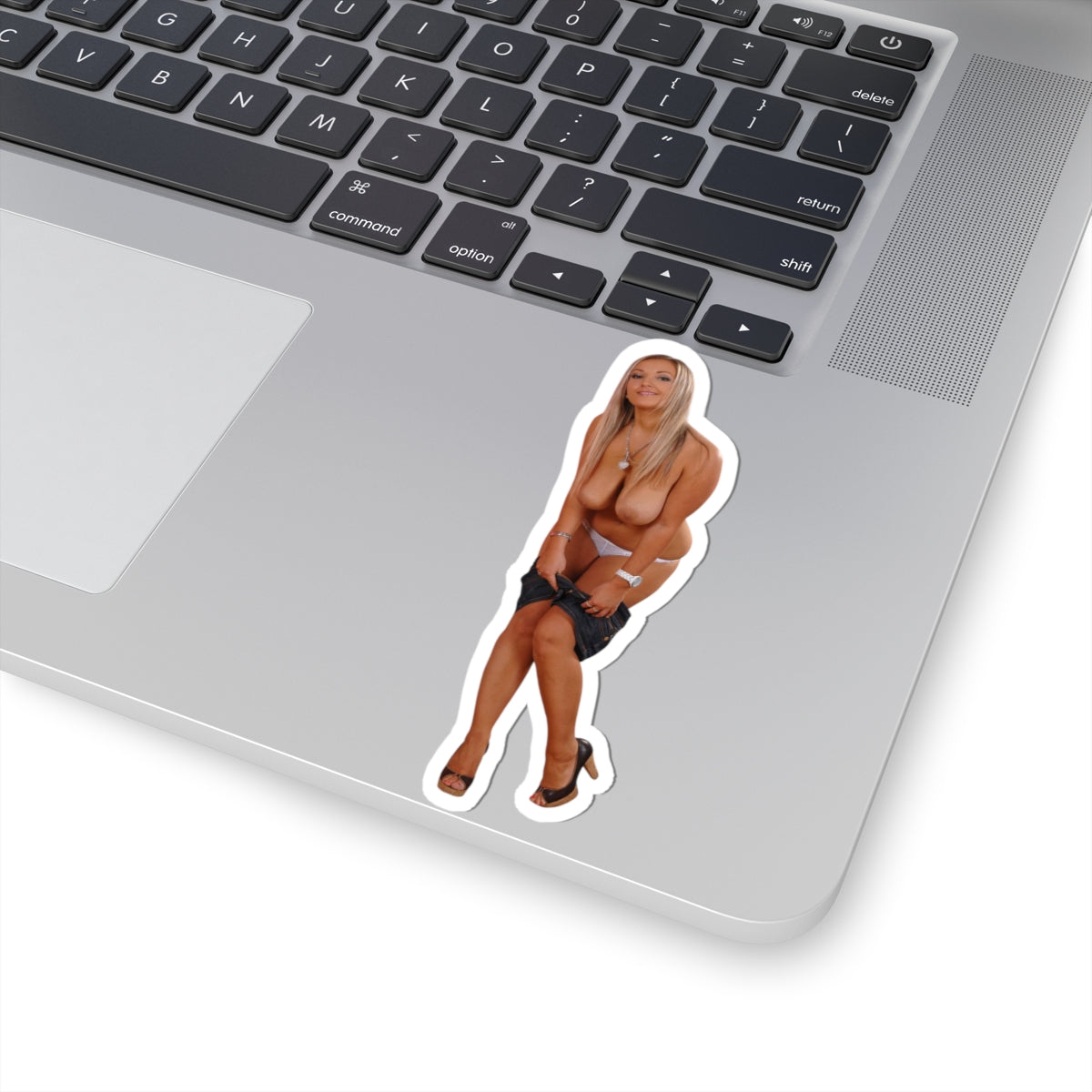 Adult Mature Stickers