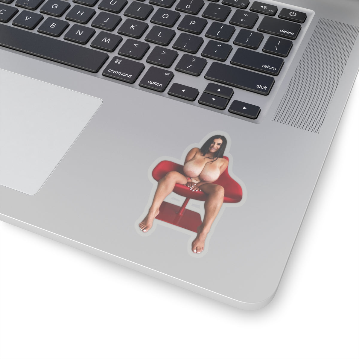 sexy girl,naked girls,naked women,nude stickers,hot girl,naked women sticker,naked pinup,uncensored stickers,E523