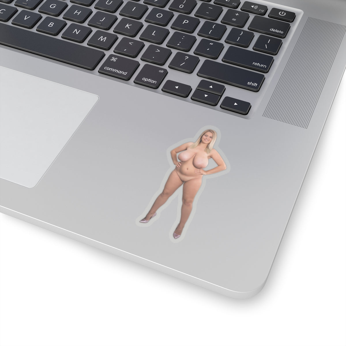 Naked Girl Sticker,Pinup Stickers,Nude,Unclothed,Bare,Exposed,Stripped,Undressed,Au naturel,Without clothes,E493