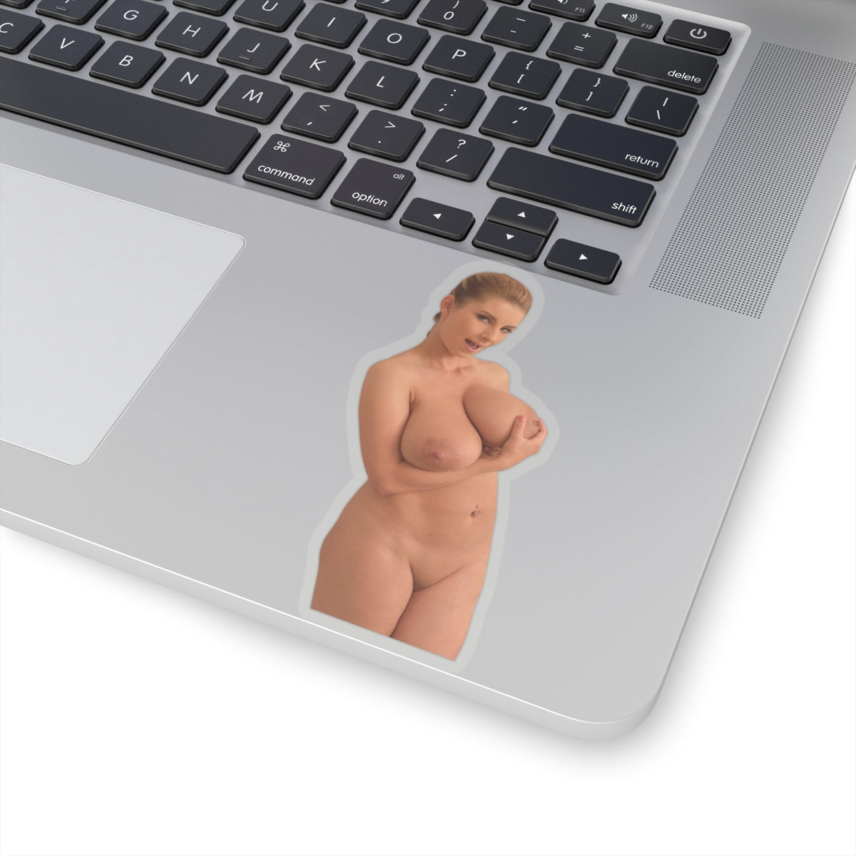 Sexy Girl Naked Sticker Nude Women Big Tits Boobs Stickers