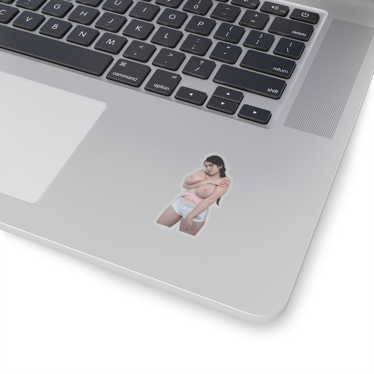Hot Curvy Girl Model Sticker Sexy Fashion Decal