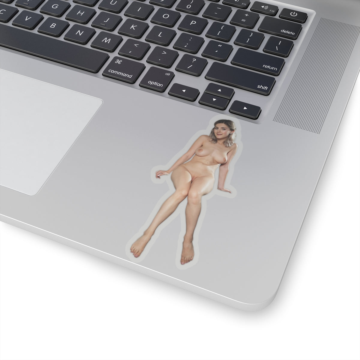 Pinup Stickers Sexy,Women Uncensored Stickers