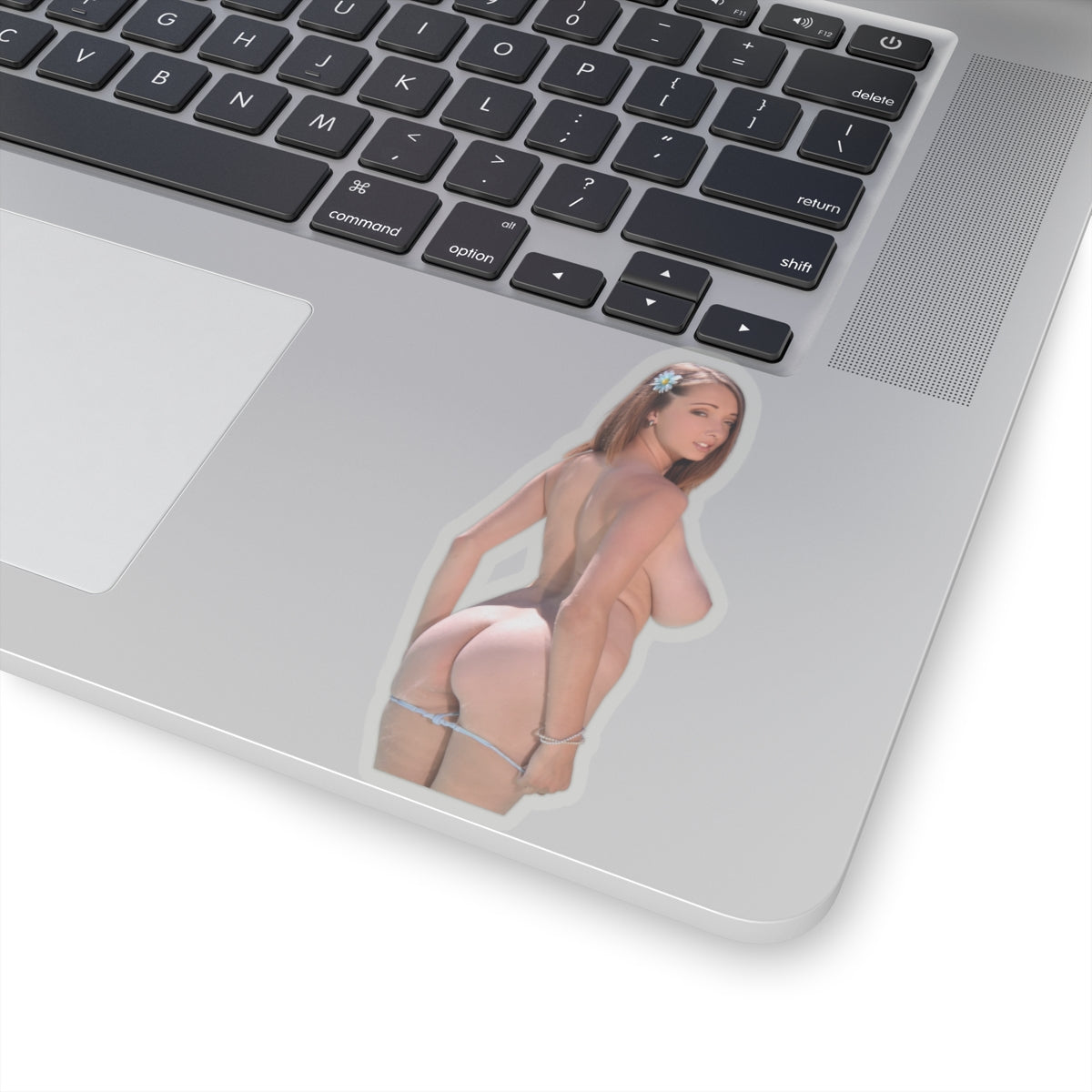 Big Tits Sexy Pinup Model Sticker