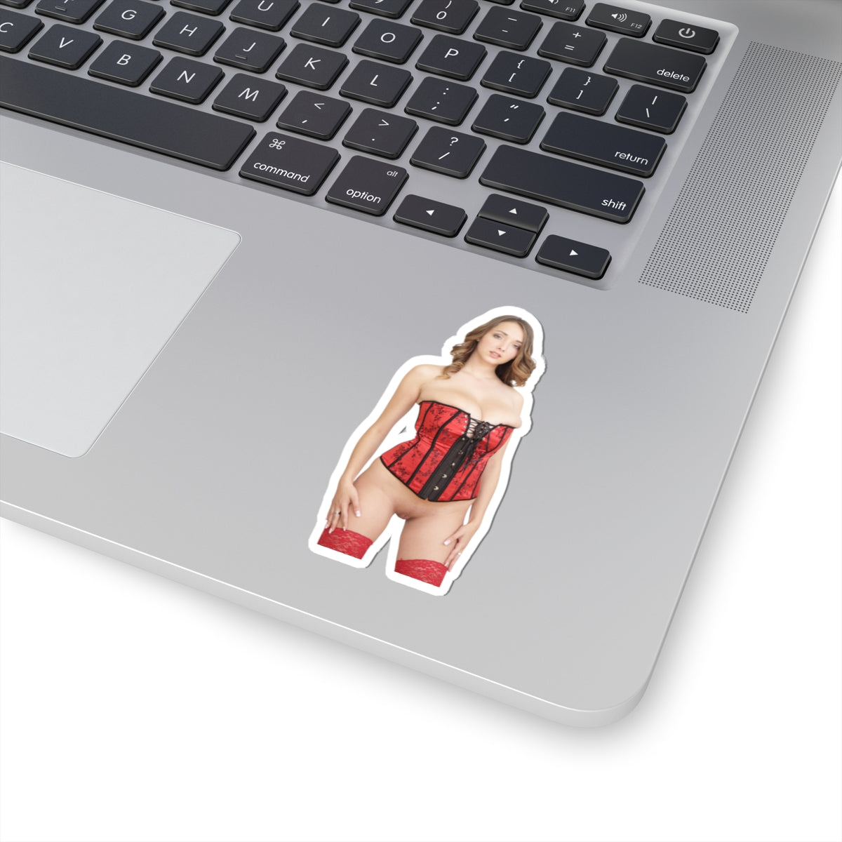 Naked Women Sticker Sexy Girls Adult Stickers