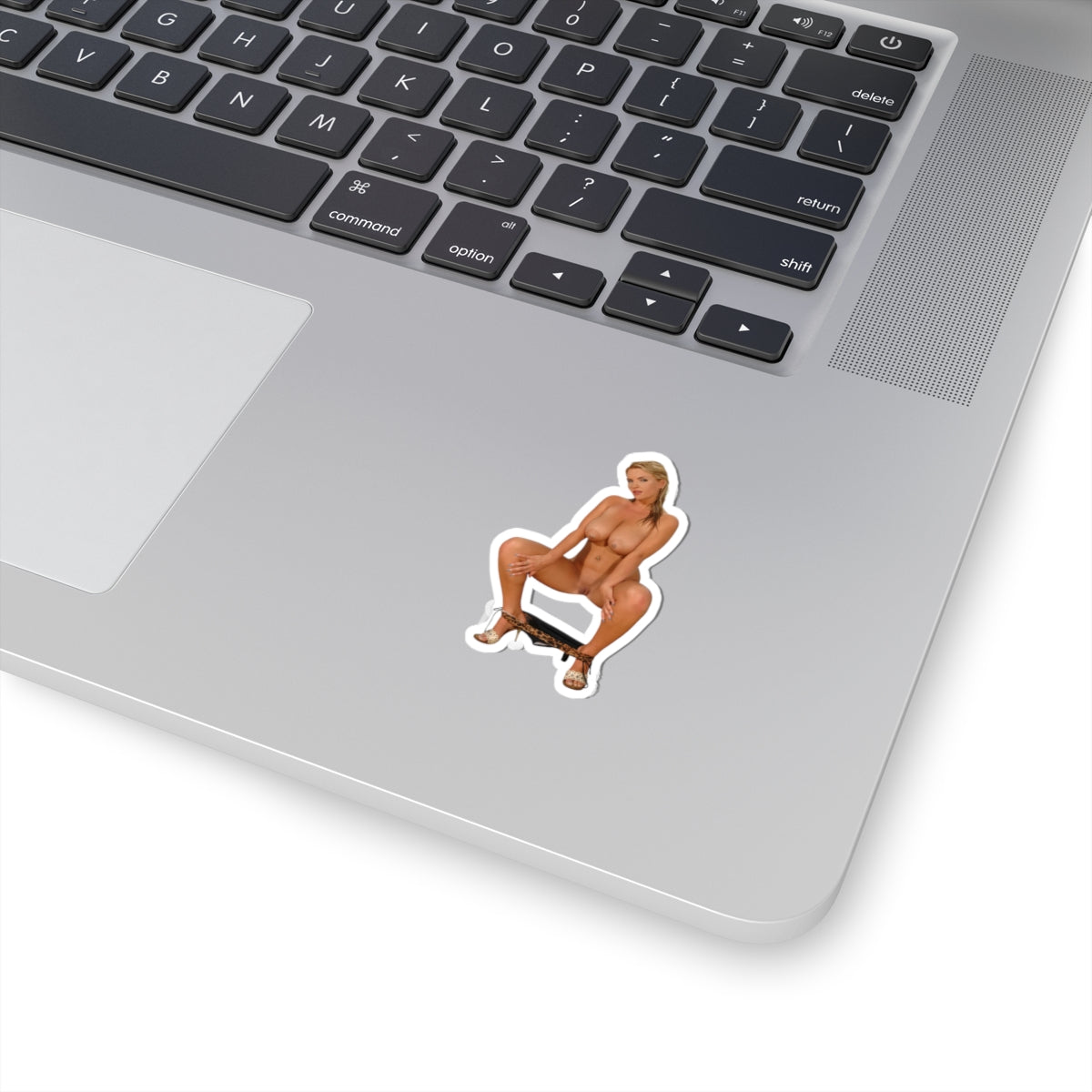 Blonde Sexy Naked Girl Ass Tits Sticker
