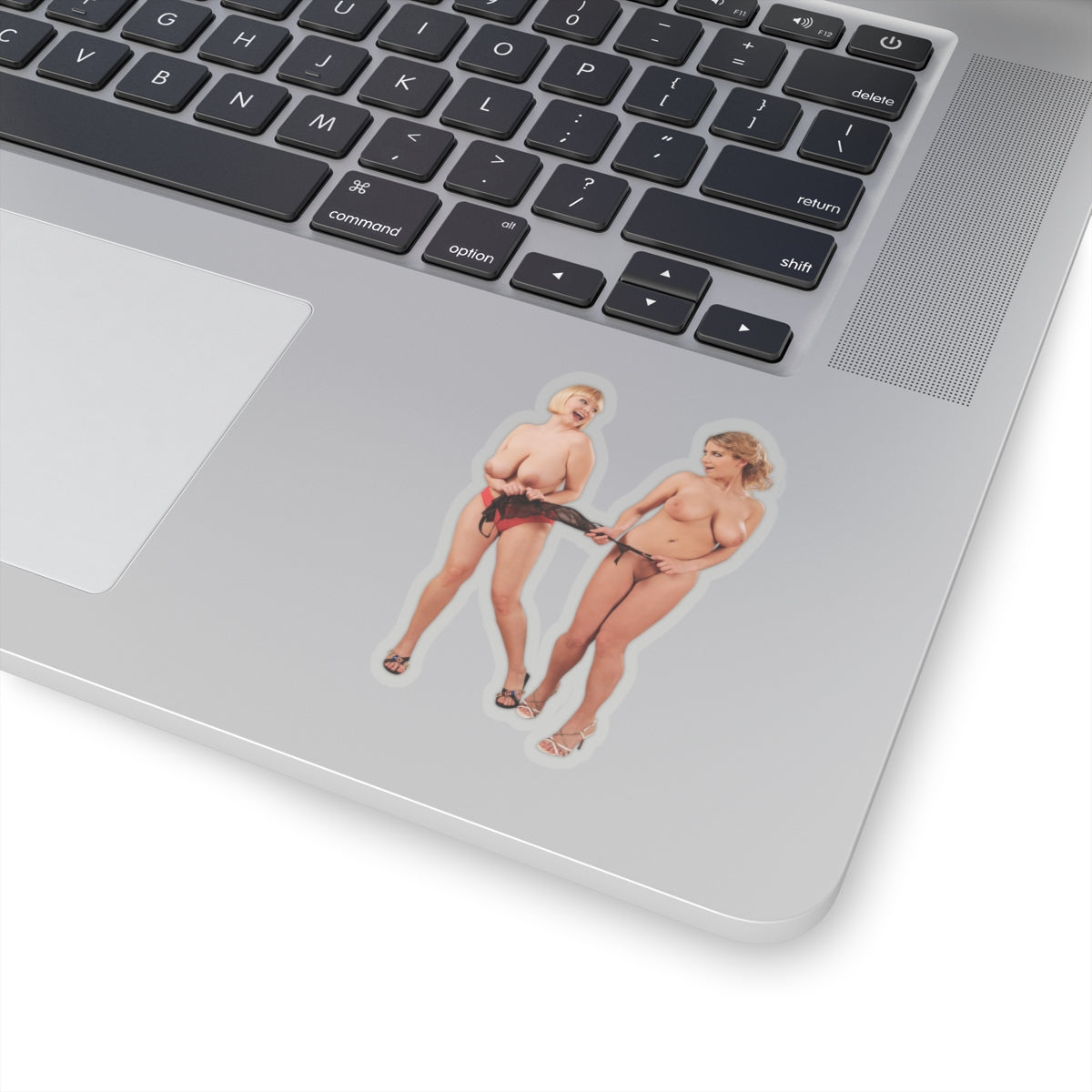 Sexy Big Bust Women Stickers Curvy Girl Vinyl Decal