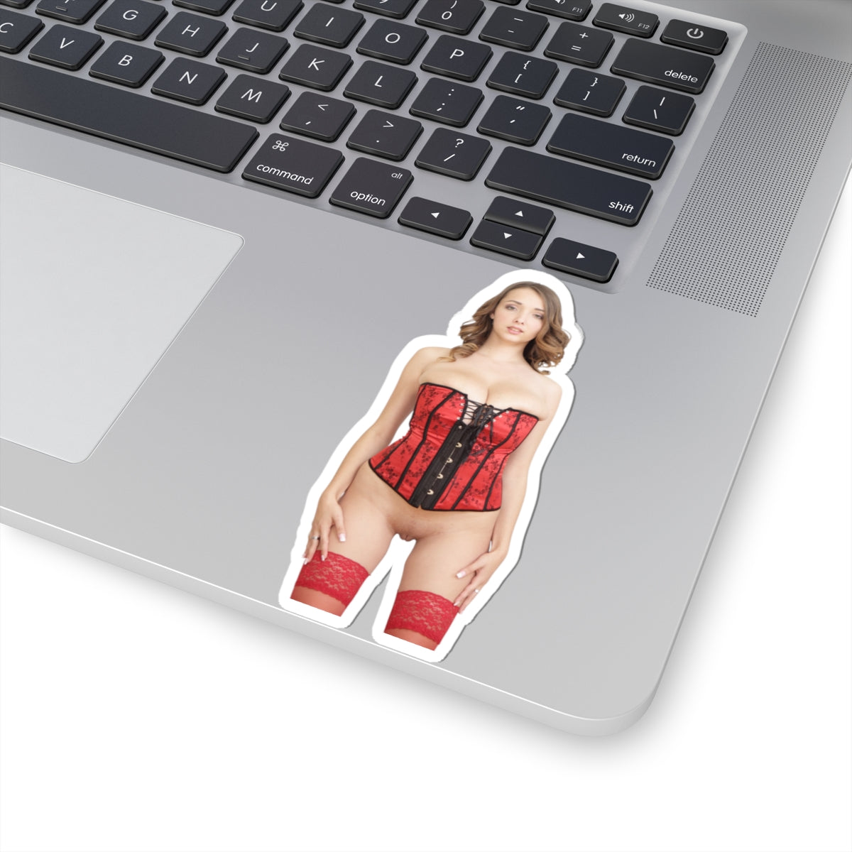 Naked Women Sticker Sexy Mature Adult Stickers