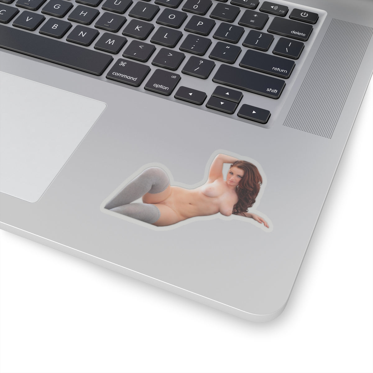 Sexy Girl Sticker Naked Pinup Model Stickers