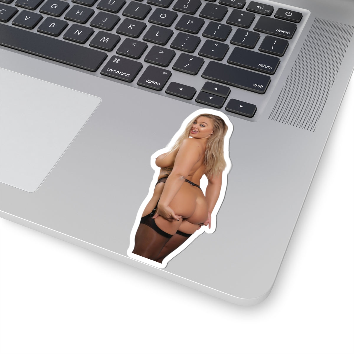 Erotic Sticker Sexy Big Tits Girl Nice Ass Stickers