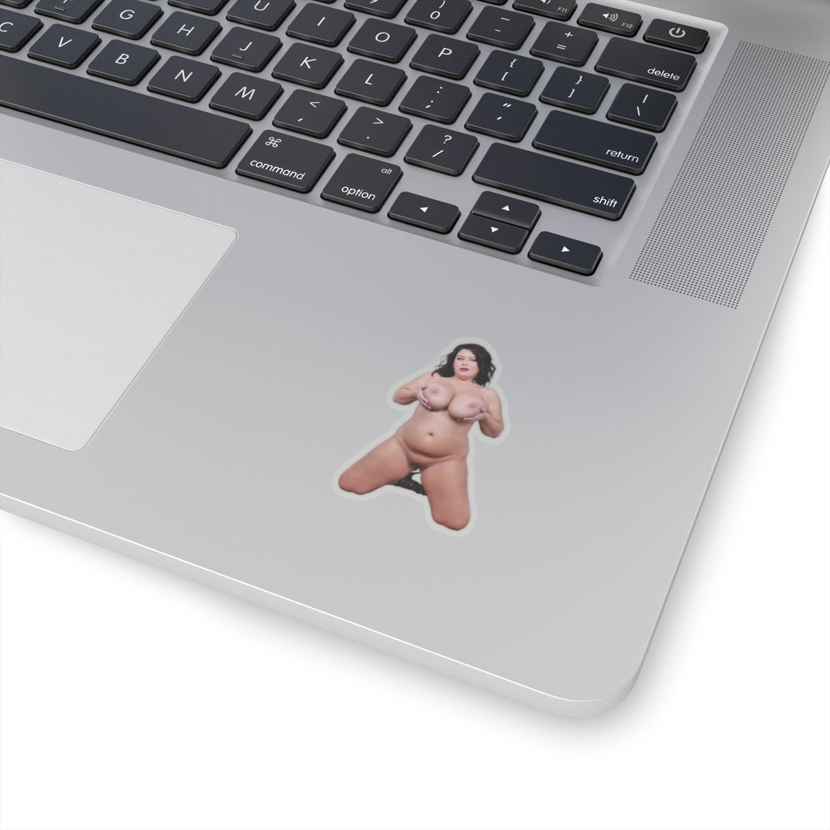 Nudity Stickers Big Boobs Women Sticker