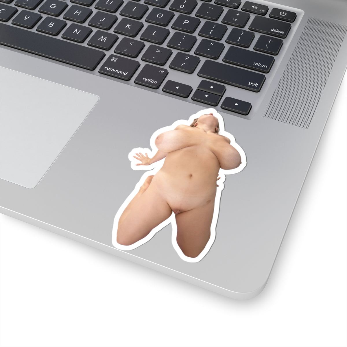 Big Breast Girl Sticker Naked Pinup Model Stickers