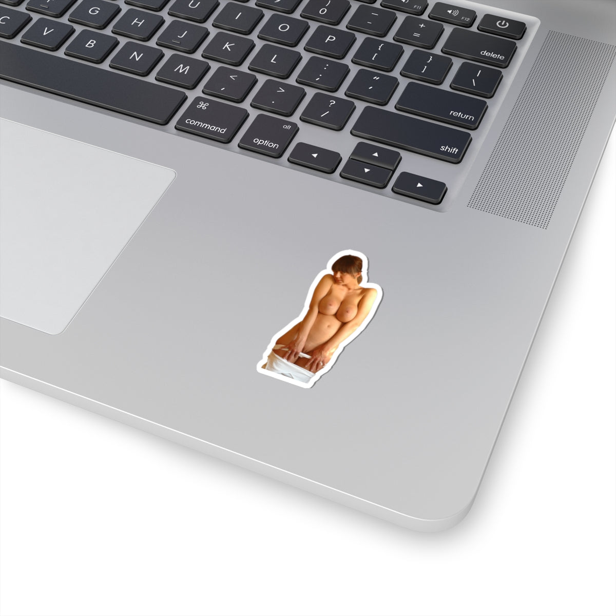 Nude Woman Sticker Funny Adult Gift Vinyl Decal