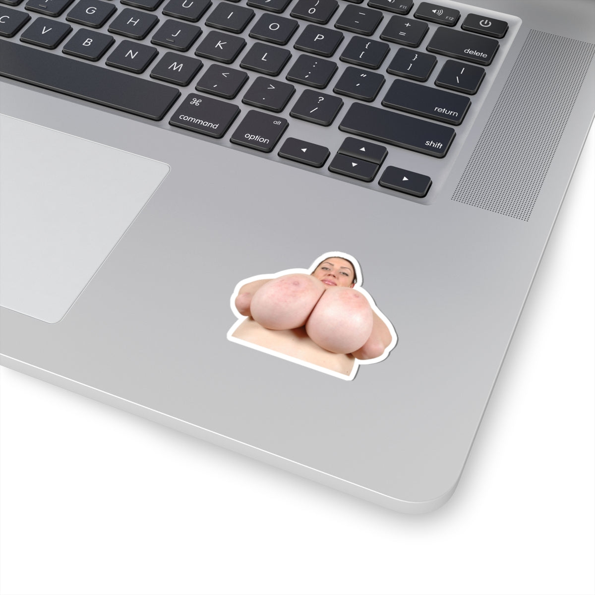 Huge Tits Girl Sticker Big Boobs Women Stickers