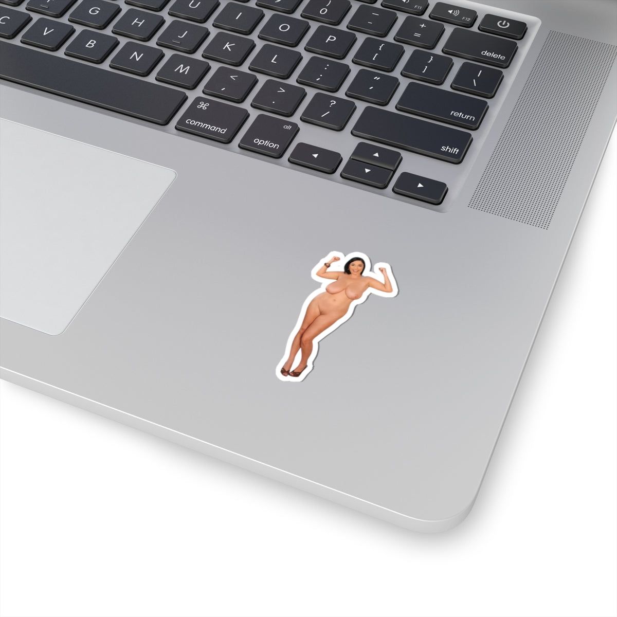 Busty Model Vinyl Decal Sexy Pinup Girl Adult Sticker