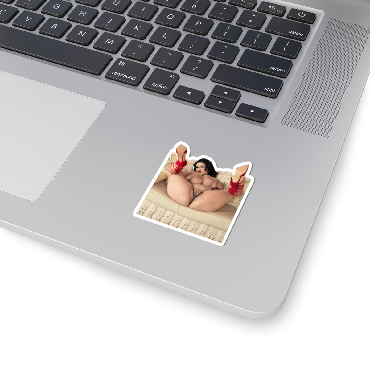 Adult Stickers Big Tits Sexy Girl Mature Sticker