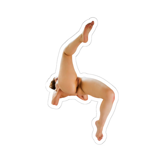 Pinup Sticker Hot Sexy Girl Stickers