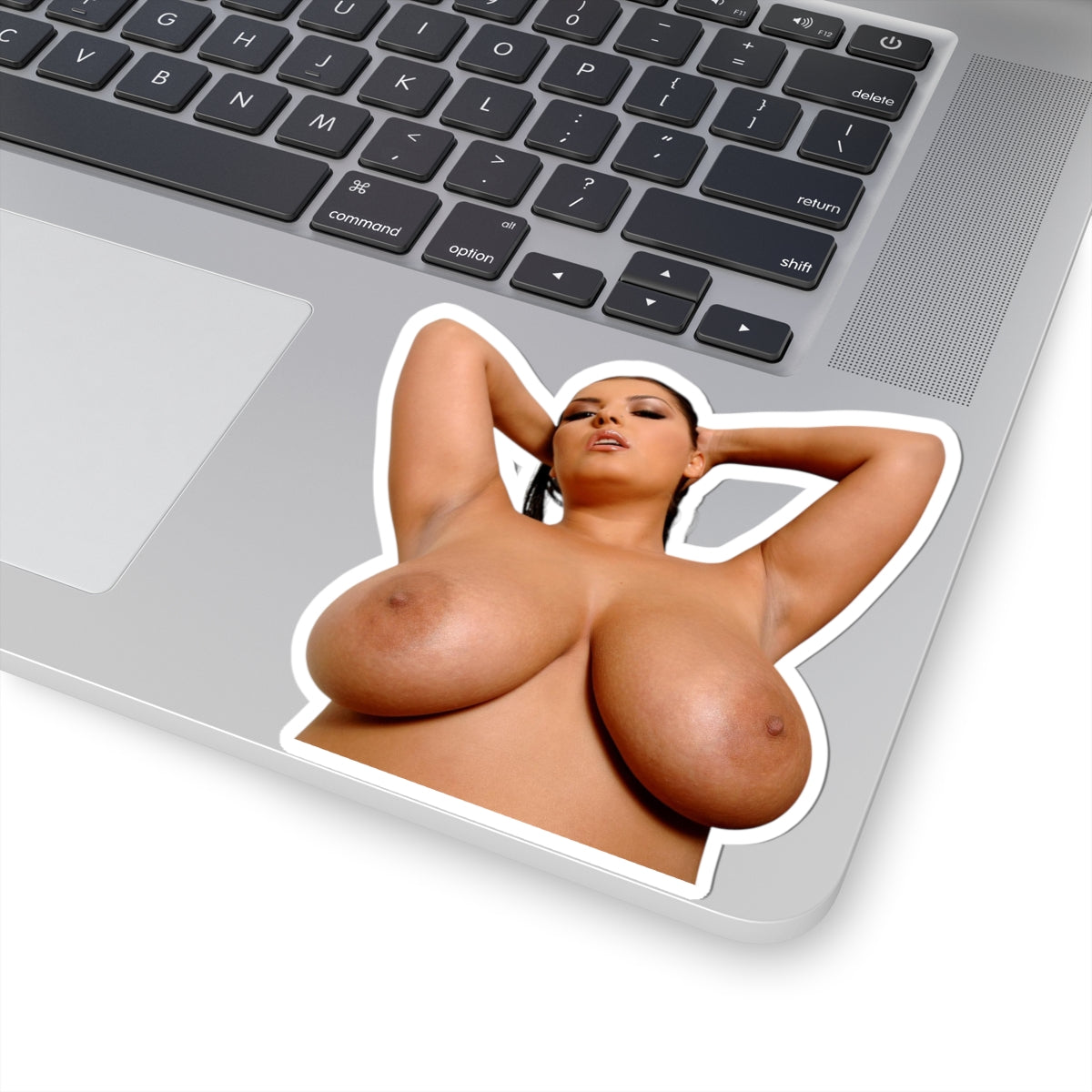Pretty Girl Sticker Pinup Naked Big Boobs Girl Stickers