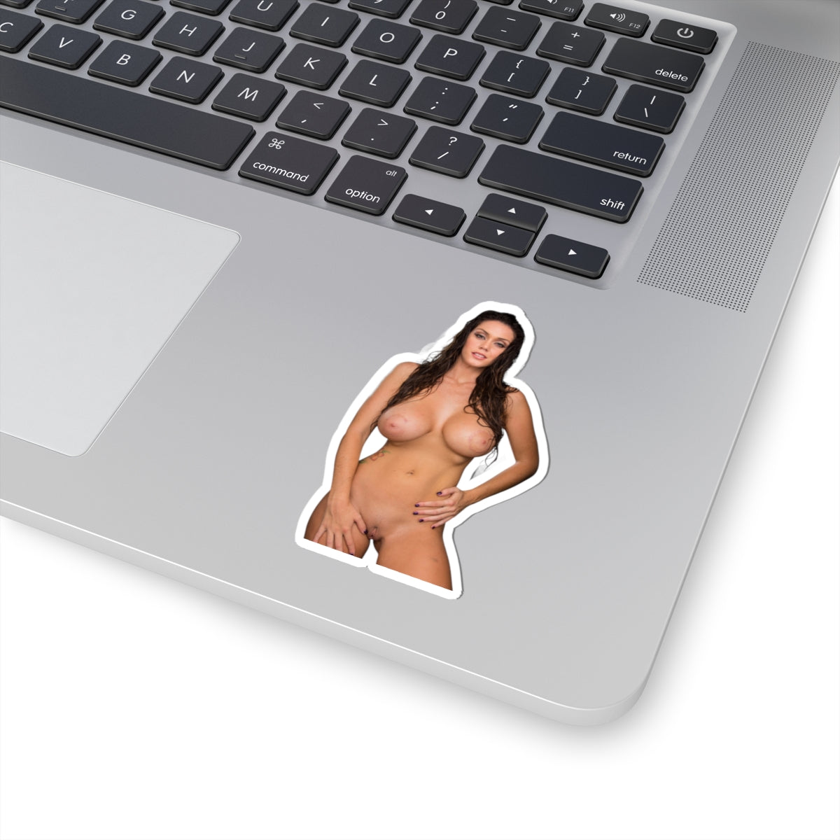 Erotic Sticker Big Tits Pinup Girl Stickers