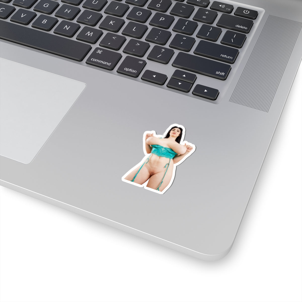 Sexy Girl Sticker Big Tits Women Pinup Naked Uncensored Stickers