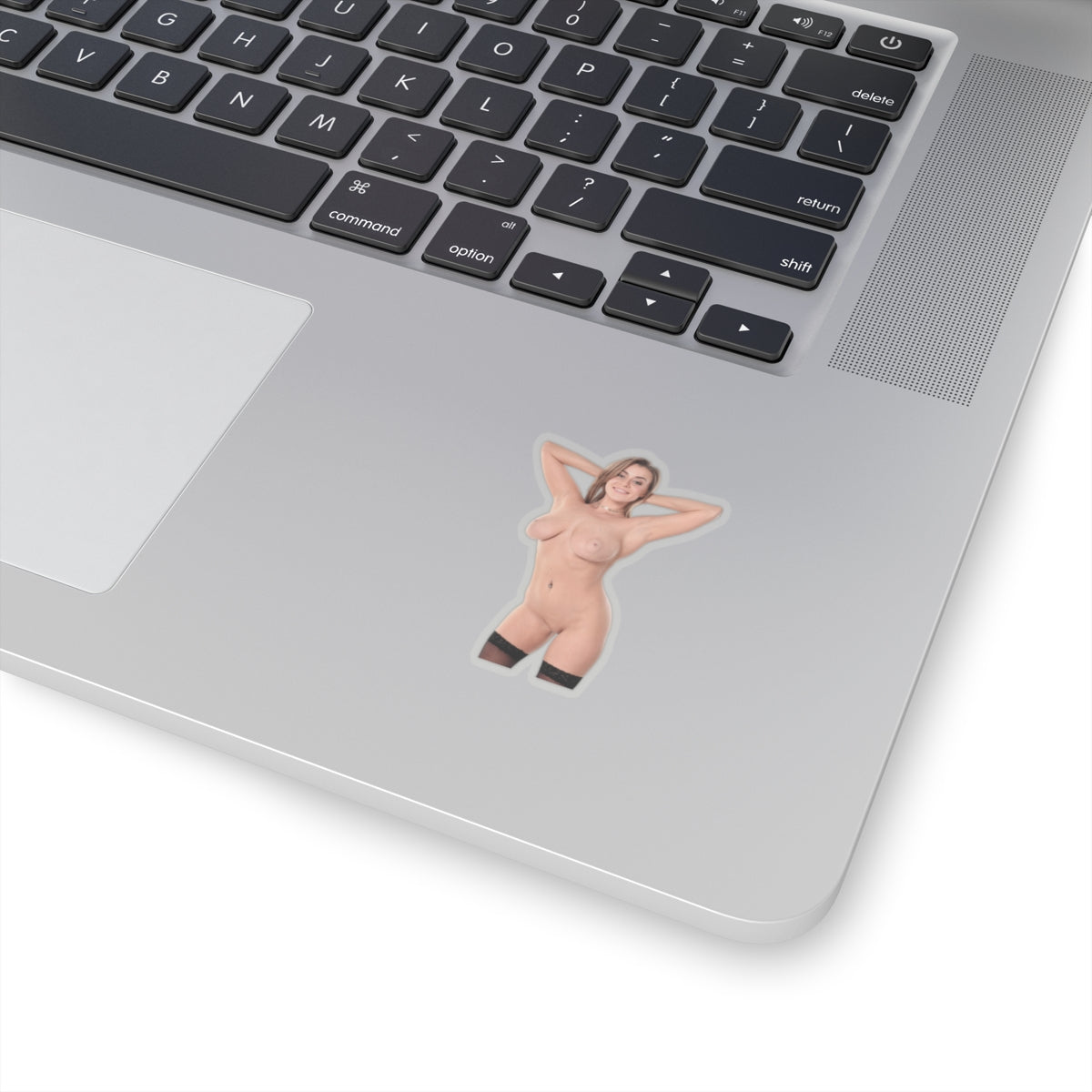 Pretty Girl Sticker Naked Women Stickers