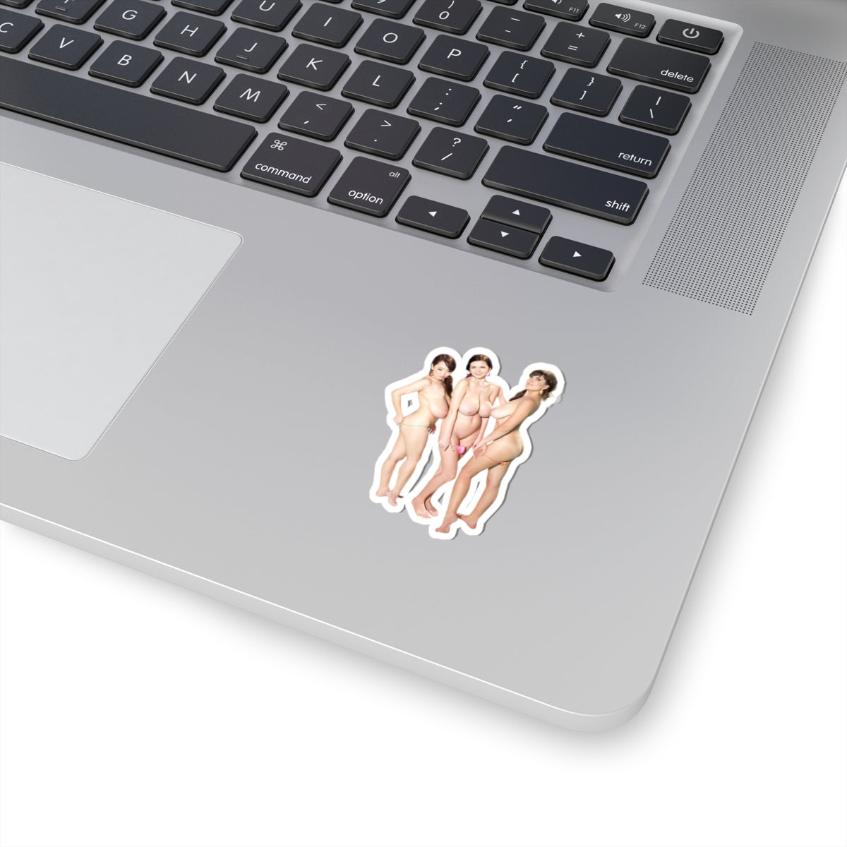 Sexy Girls Sticker Naked Big Tits Models Stickers