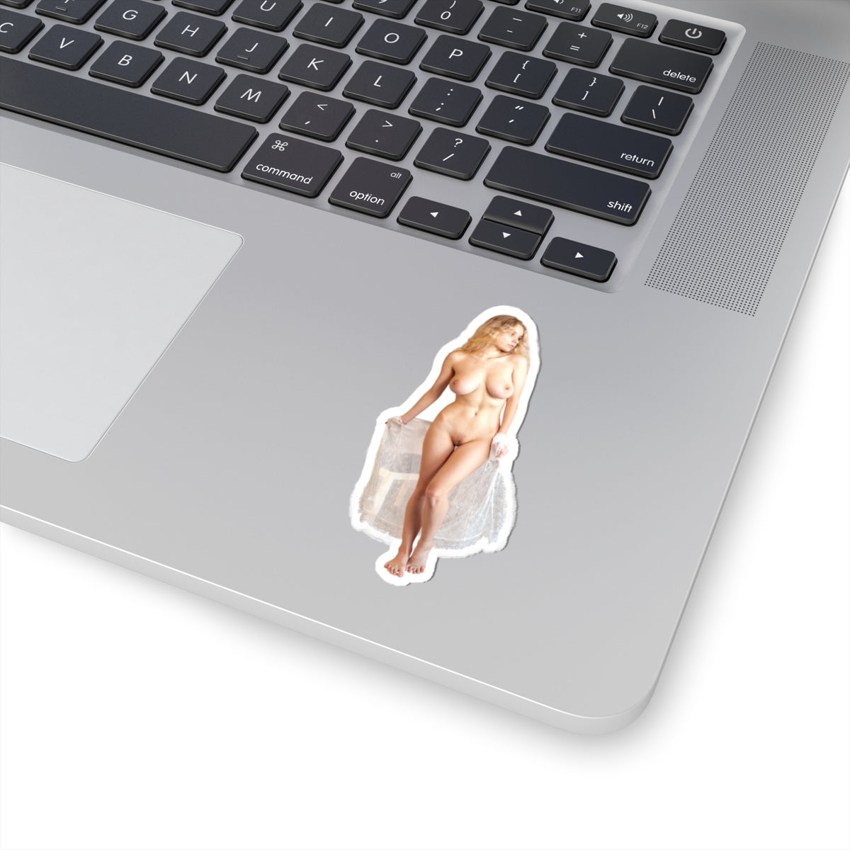 Stickers For Adults Sexy Pinup Naked Girl Sticker
