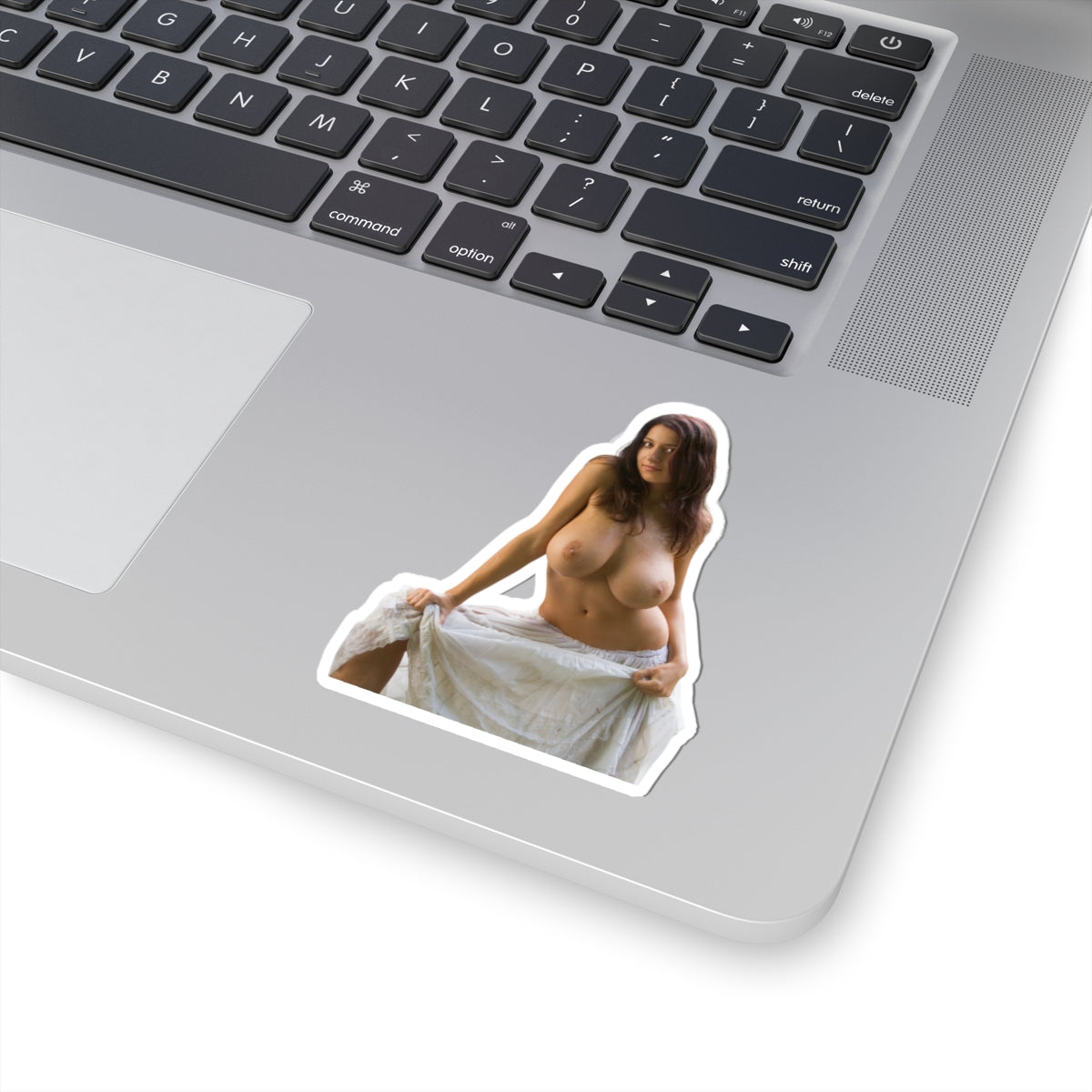 Busty Girl Sticker Pinup Model