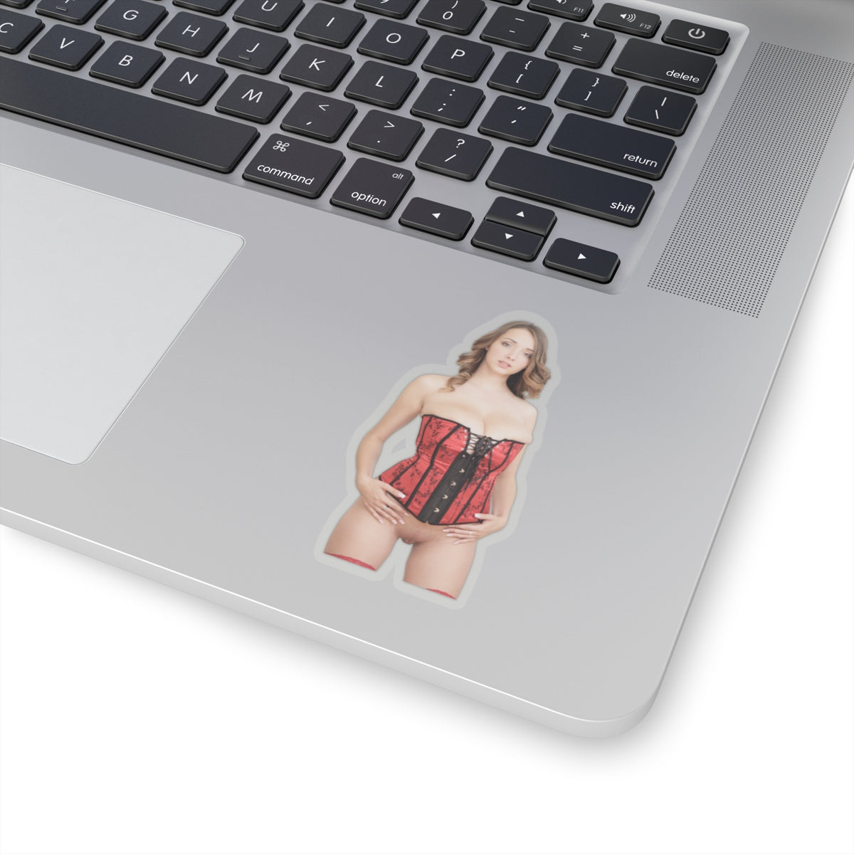 Naked Women Sticker Sexy Adult Stickers