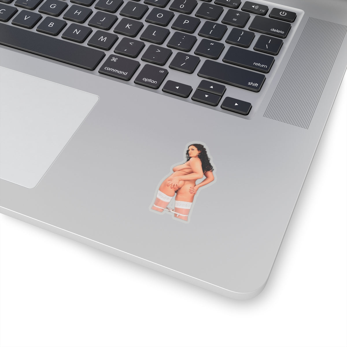 Big Tits Naked Model Sticker Pinup Uncensored Stickers