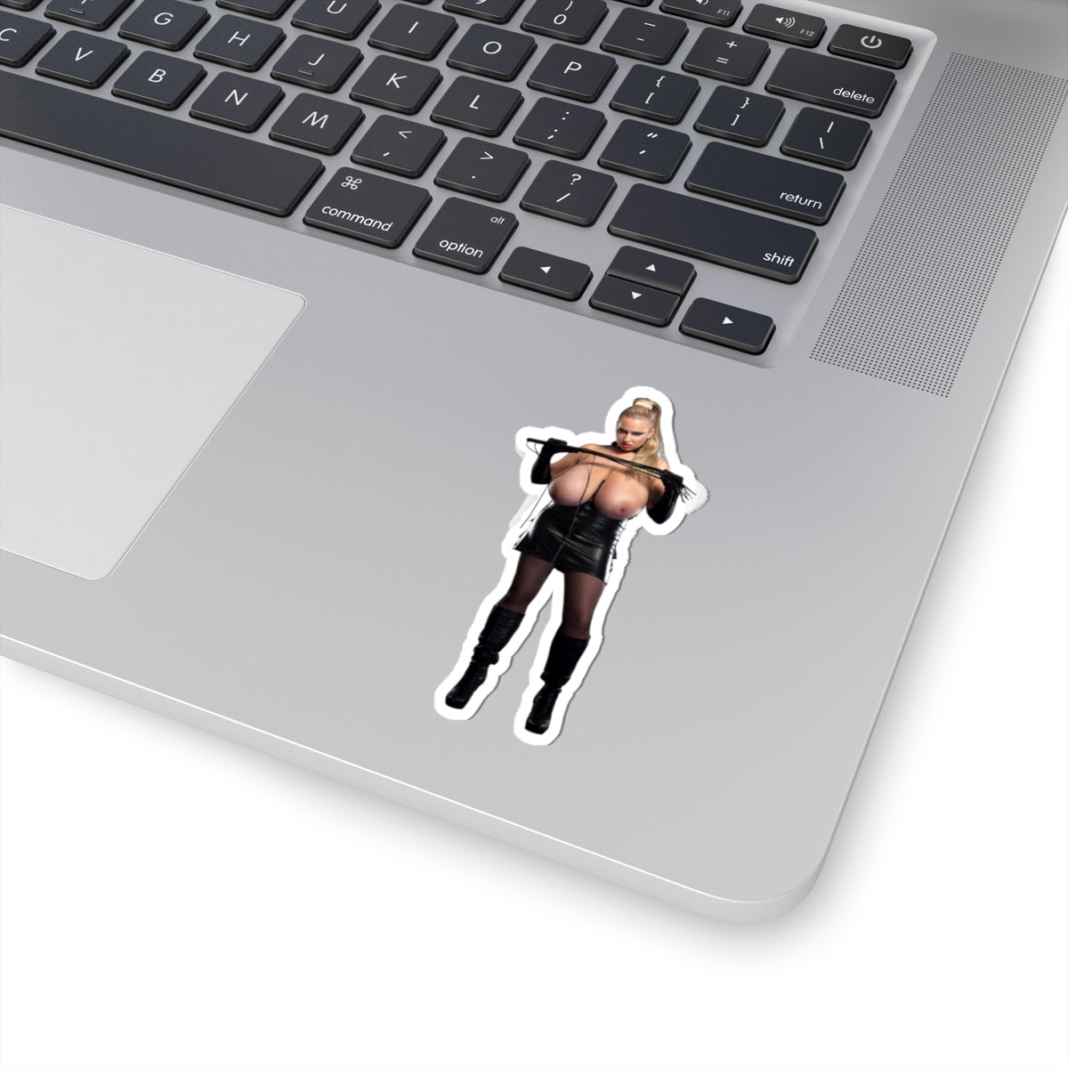 Abbi Secraa Sticker Full Nude Big Boobs Pinup Model Stickers