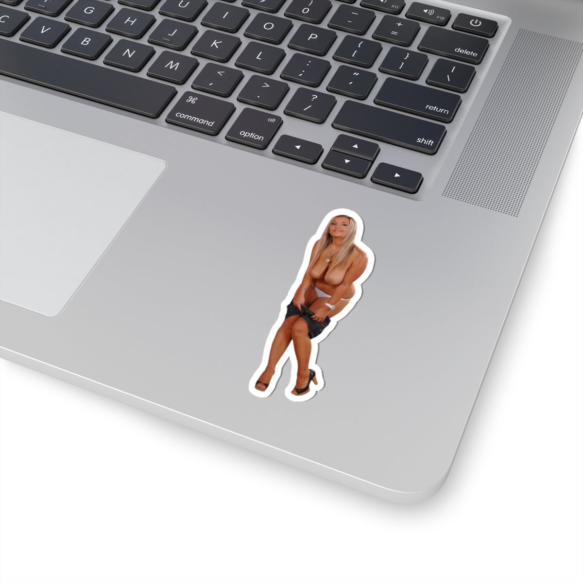 Adult Mature Stickers