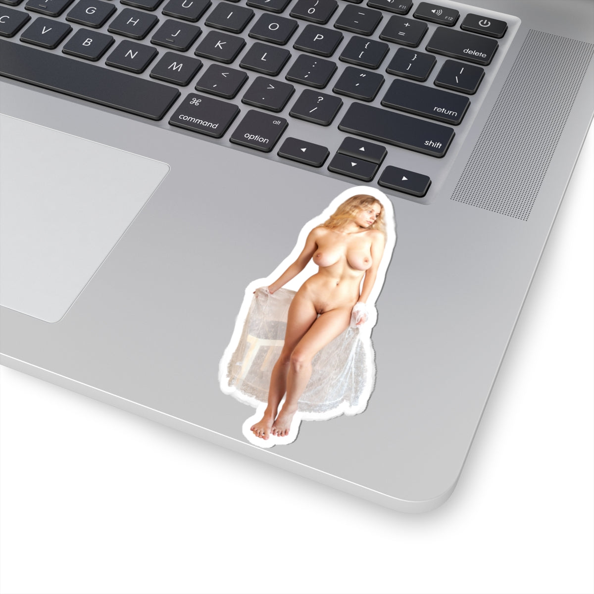 Stickers For Adults Sexy Pinup Naked Girl Sticker