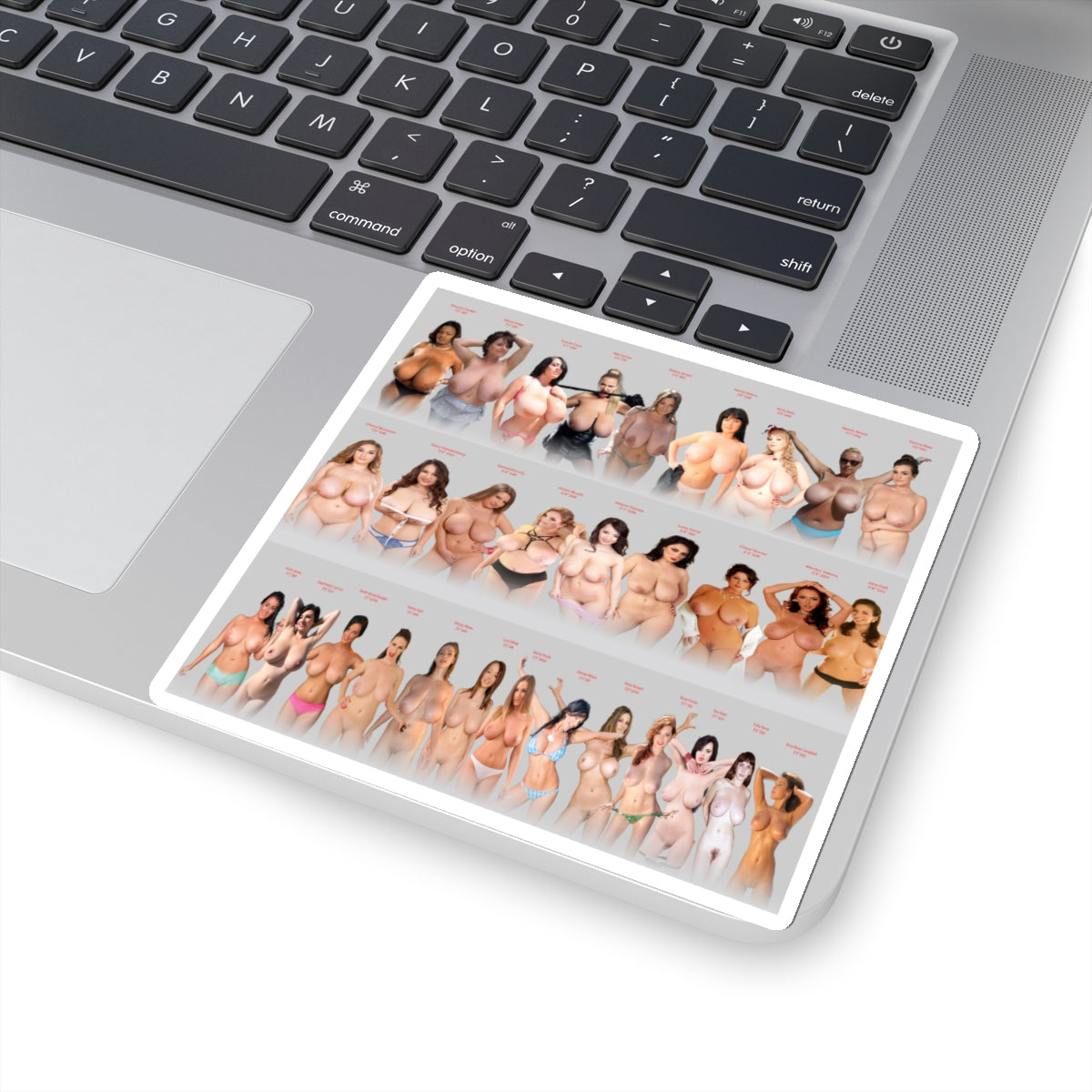 Hot Sexy Girls Sticker Beautiful Women Pretty Girl Lovely Lady Attrctive Female Stickers For Men Sticker For Him,E1006