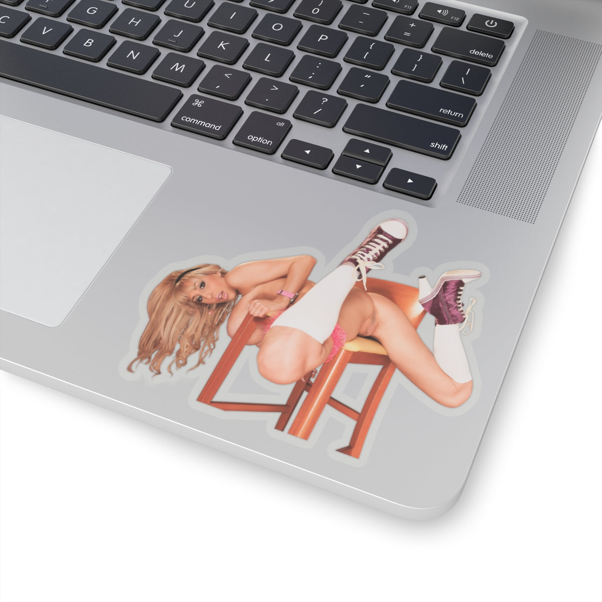 Big Tits Nude Girl Sticker Erotic Pinup Stickers