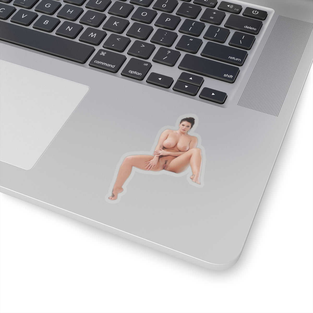 Erotic Sticker Big Tits Pinup Model Stickers