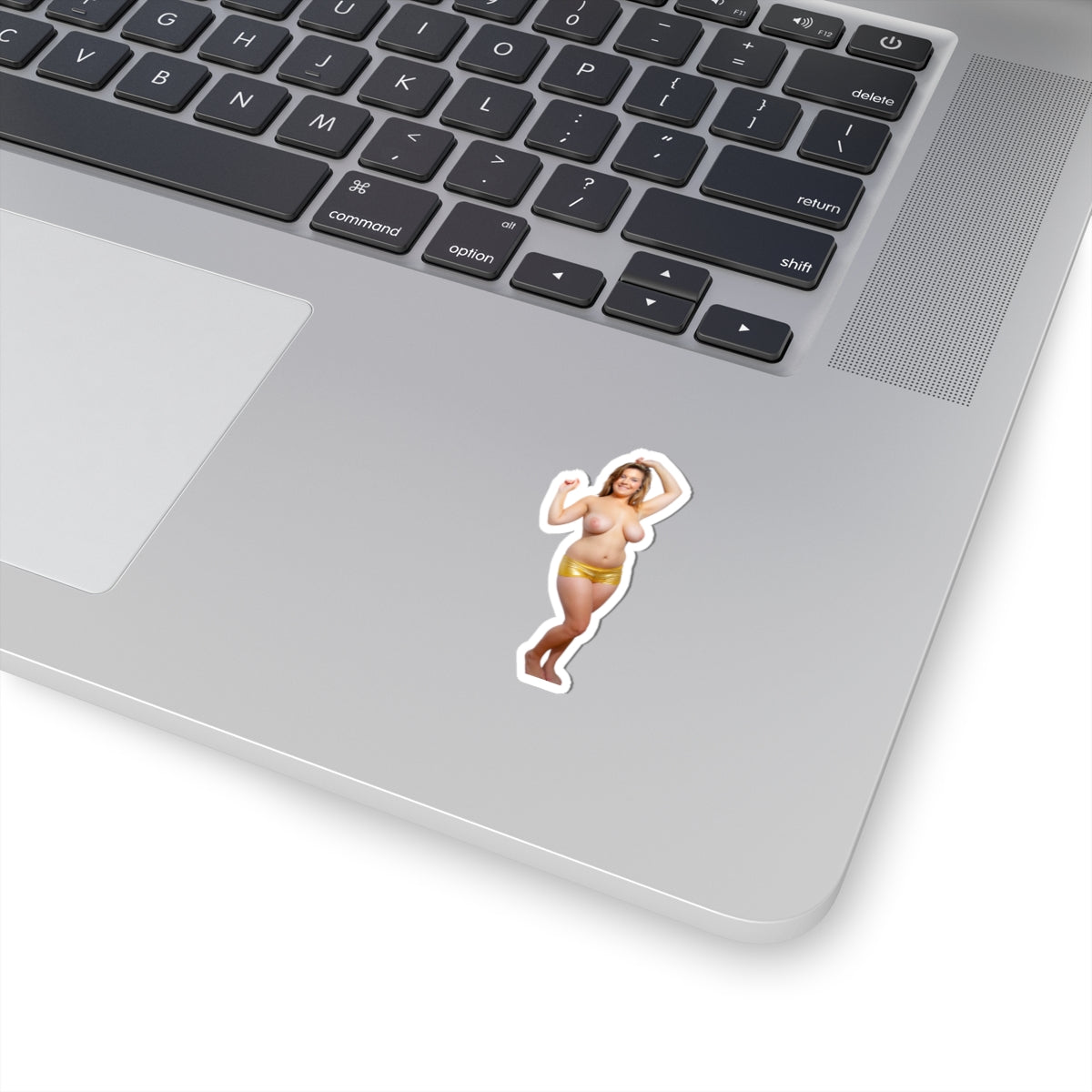 CUTE SEXY GIRL BIG TITS STICKERS