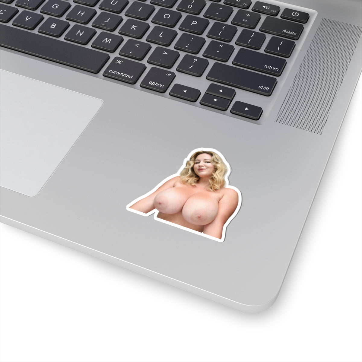Hot Girl Sticker Big Boobs Women Stickers