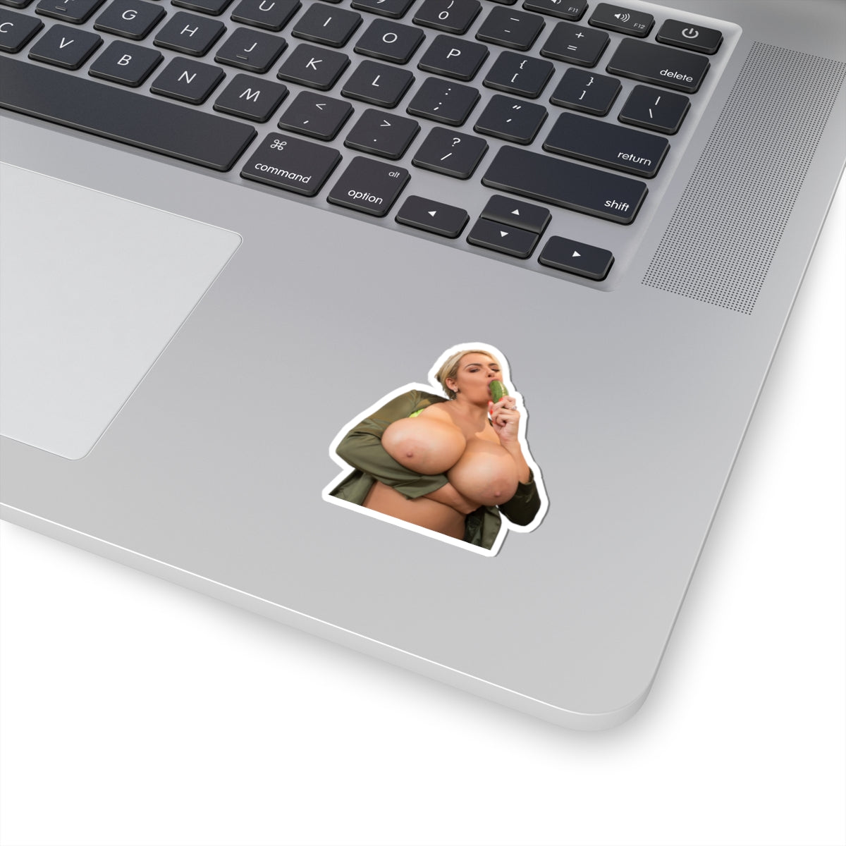 Big, Tits, Blond, Girl, Sticker, Stickers ,For, Him,