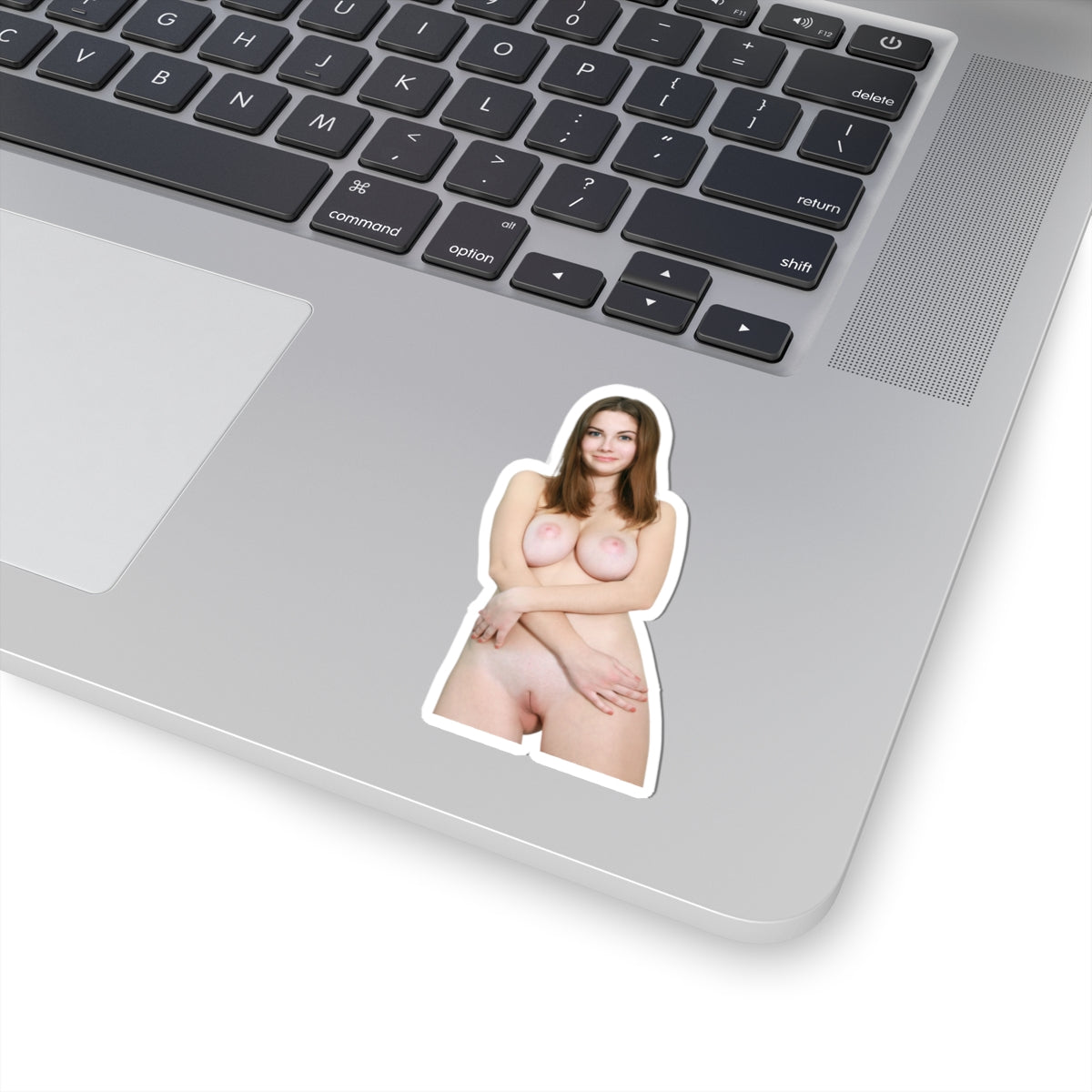 Hot Model Sticker Pinup Women Stickers