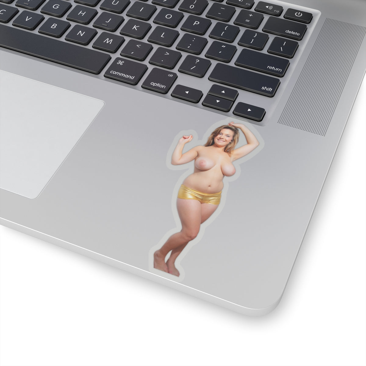 CUTE SEXY GIRL BIG TITS STICKERS