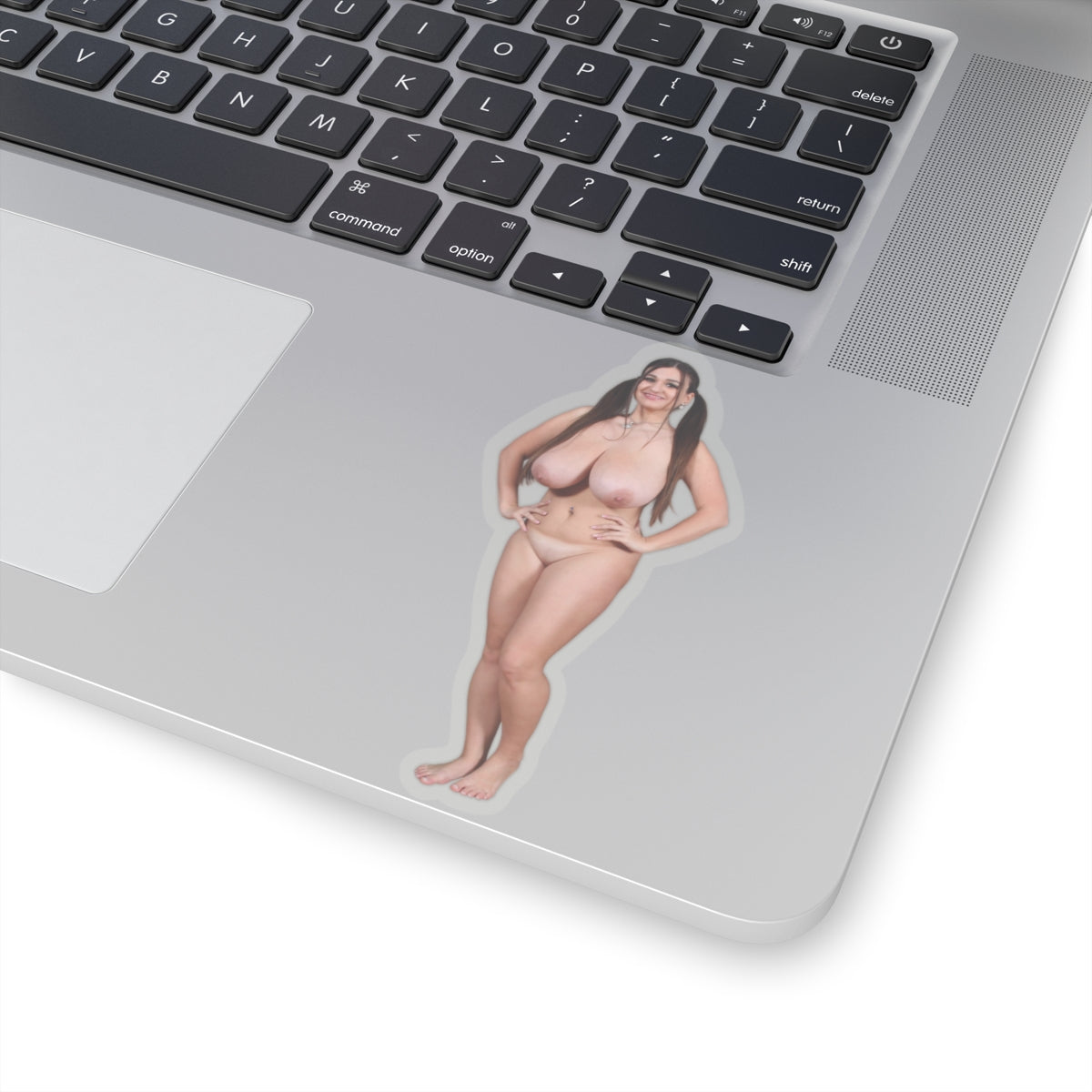 Pinup Stickers,Naked Model,naked women sticker,adult stickers,naked girl stickers,naked girl sticker,nude women,E443