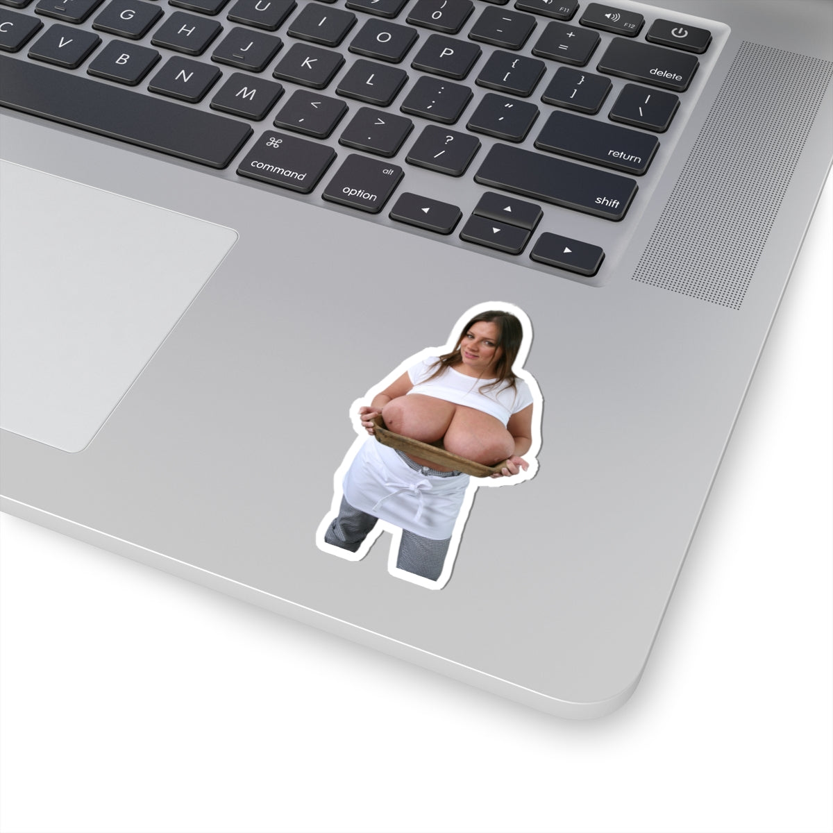 Nadine Jansen Big Tits Model Sticker Sexy Girl Pinup Stickers