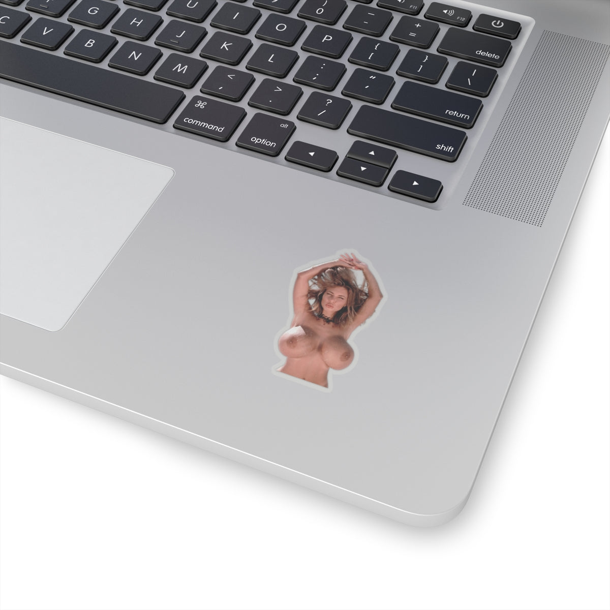 Adult Sexy Girl Sticker Pin-Up Model Nude Beauty Big Tits Vinyl Decor