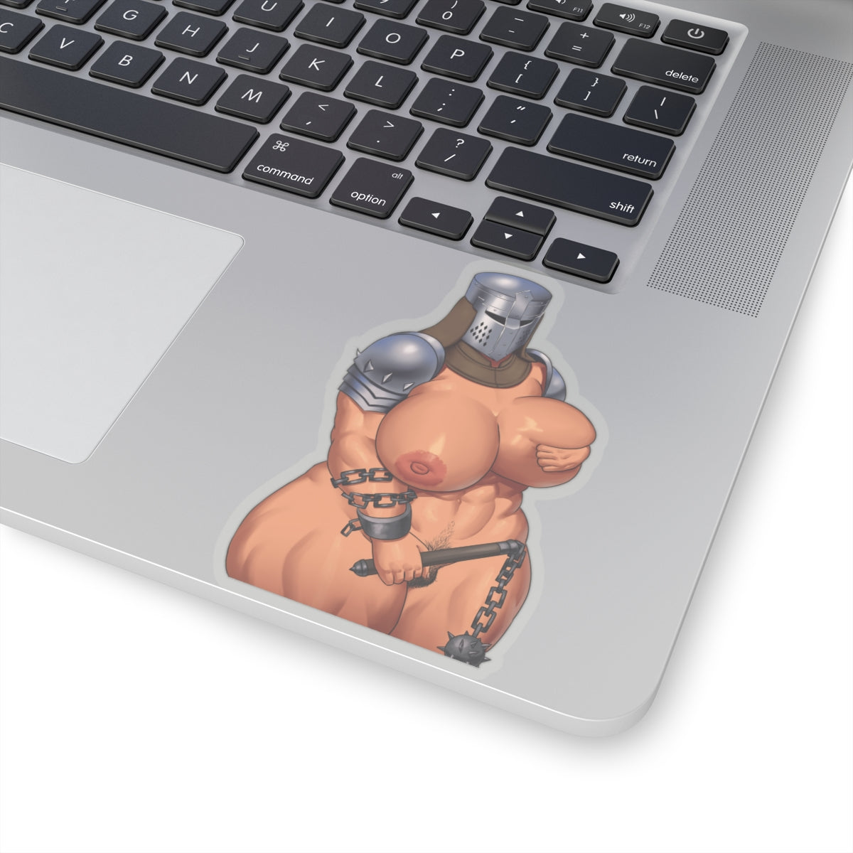 Knight Sticker Chivalry Sticker Squire Sticker Armor Naked Women Lewd Anime Cartoon Hentaii Stickers E638