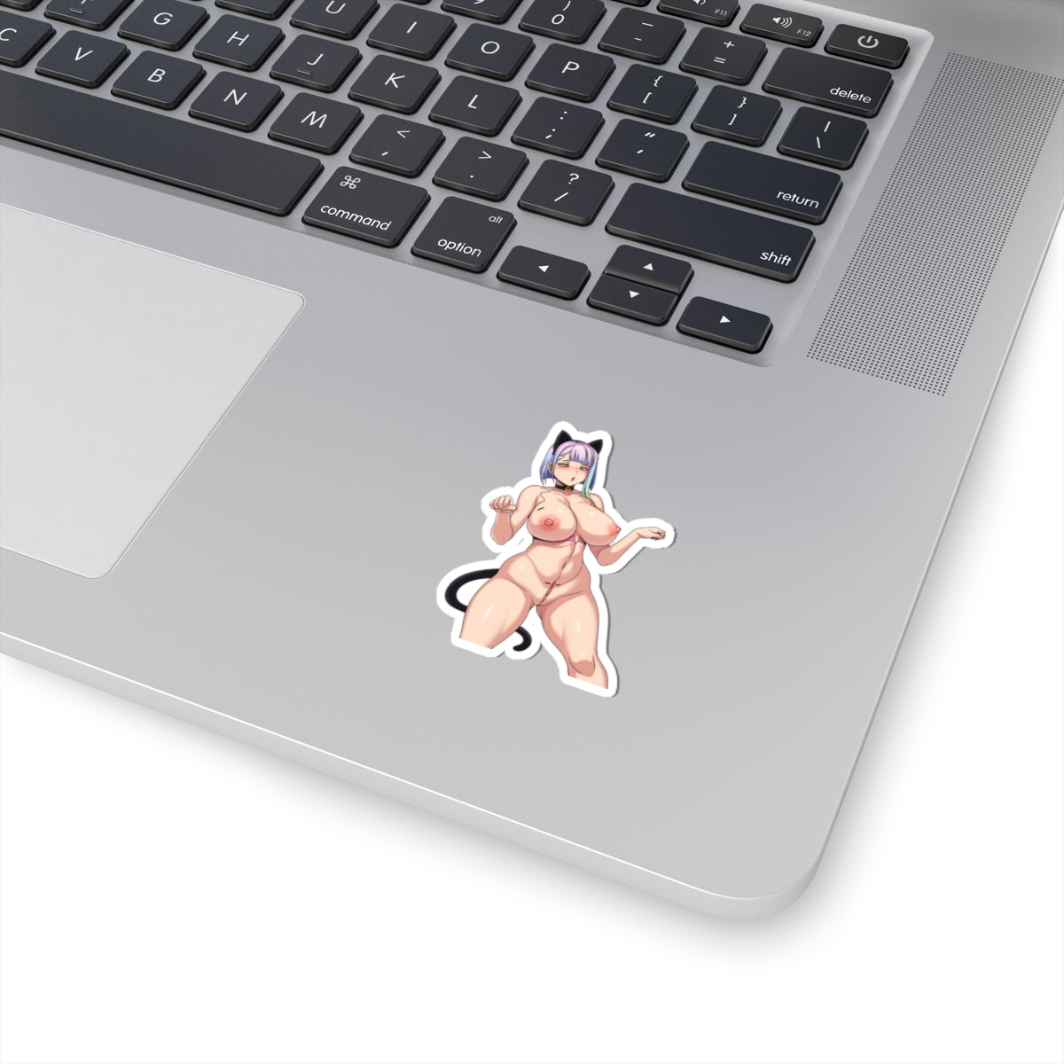 Lucy Sticker,Anime Girl,Lewd Sticker,Ecchi Sticker,Mature Stickers,Anime Sticker,Adult Stickers,Manga Women,Laptop Stickers,E240