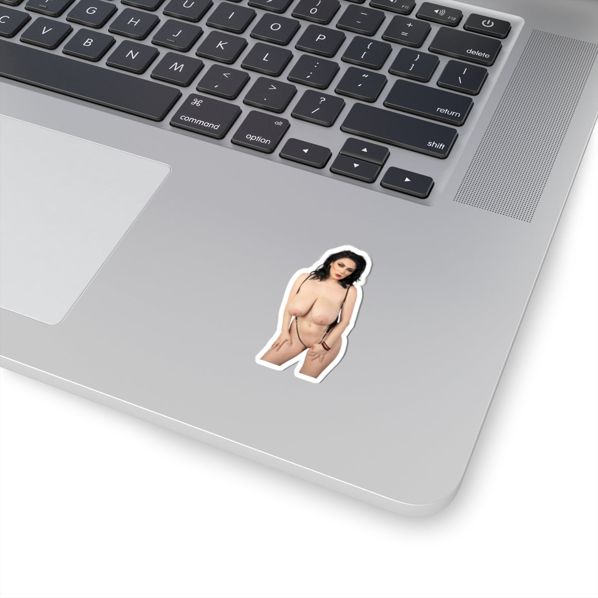 Adult Stickers Big Boobs Sexy Girl Sticker
