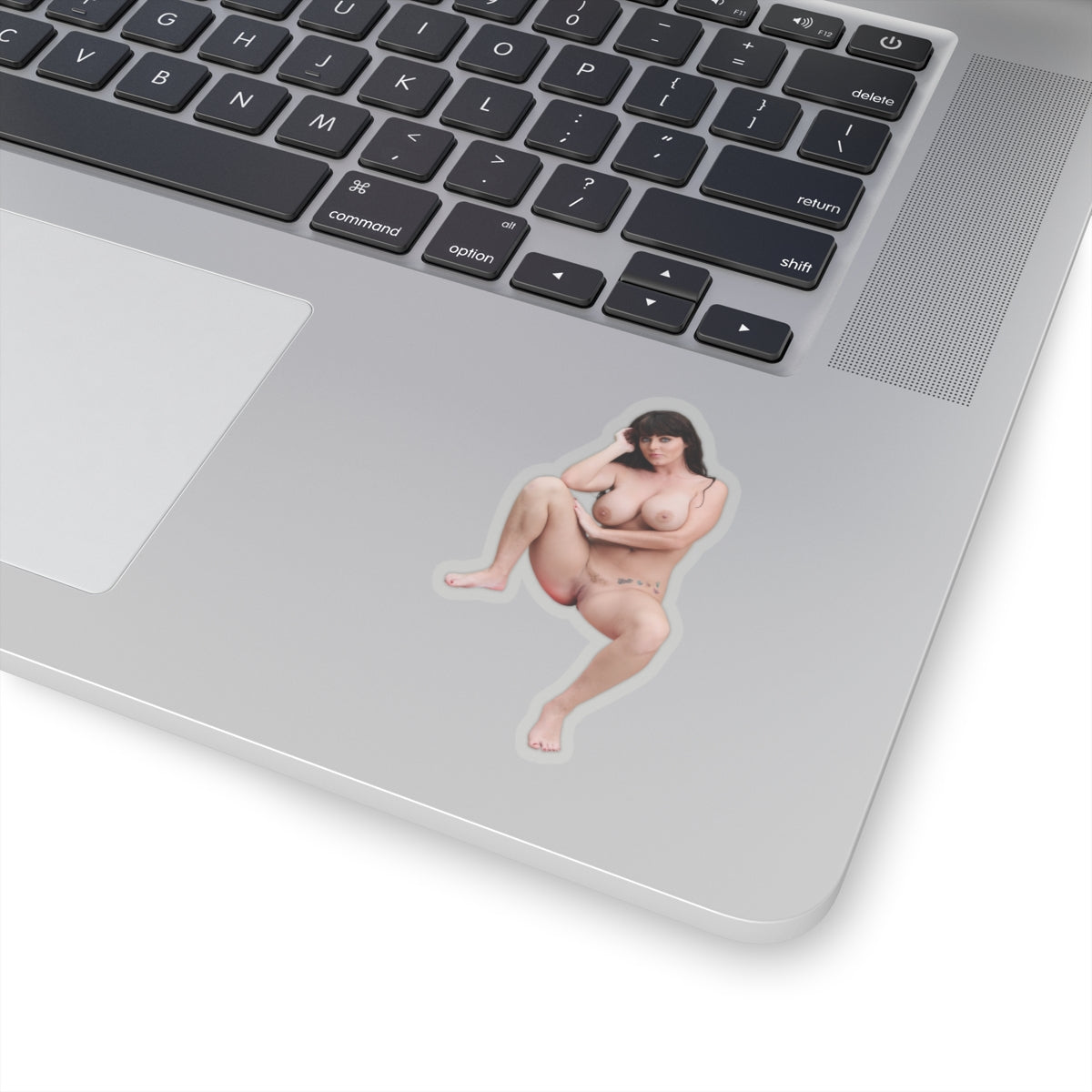 Sexy Pinup Woman Sticker, Beautiful Girl With Stunning Eyes, Towel Girl Vinyl Decal,Nude Naked Erotic Stickers